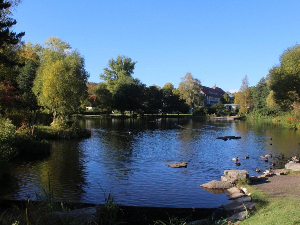 Harzer Schatz - Bergpack Suite Braunlage Buitenkant foto